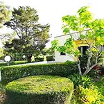 Incantevole Maddalena Villa